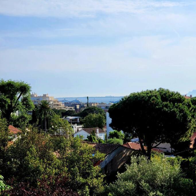 Grand Studio Localisation Ideale Antibes Extérieur photo